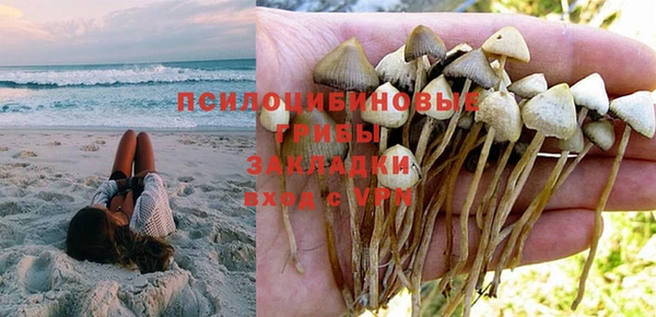 сатива Абинск