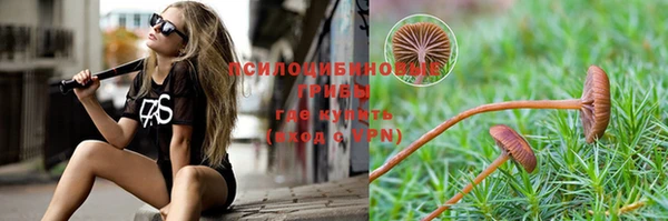 сатива Абинск