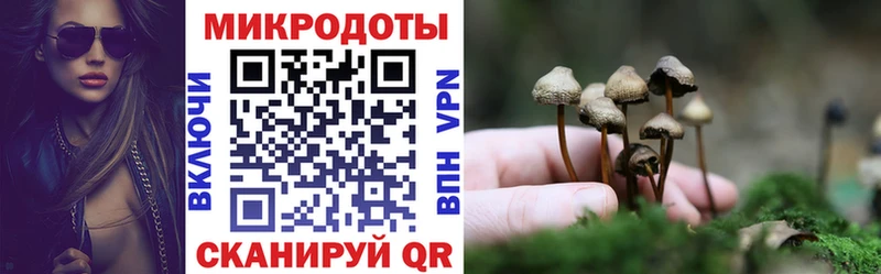 Псилоцибиновые грибы Psilocybine cubensis  купить   Каменск-Шахтинский 