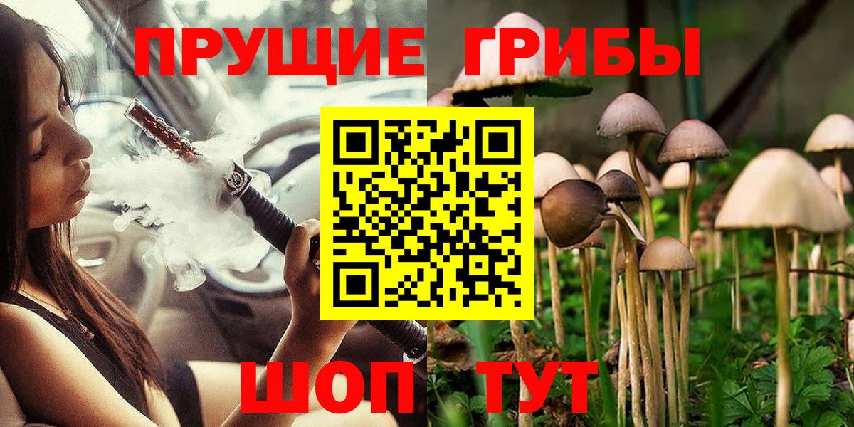 Псилоцибиновые грибы мицелий Каменск-Шахтинский