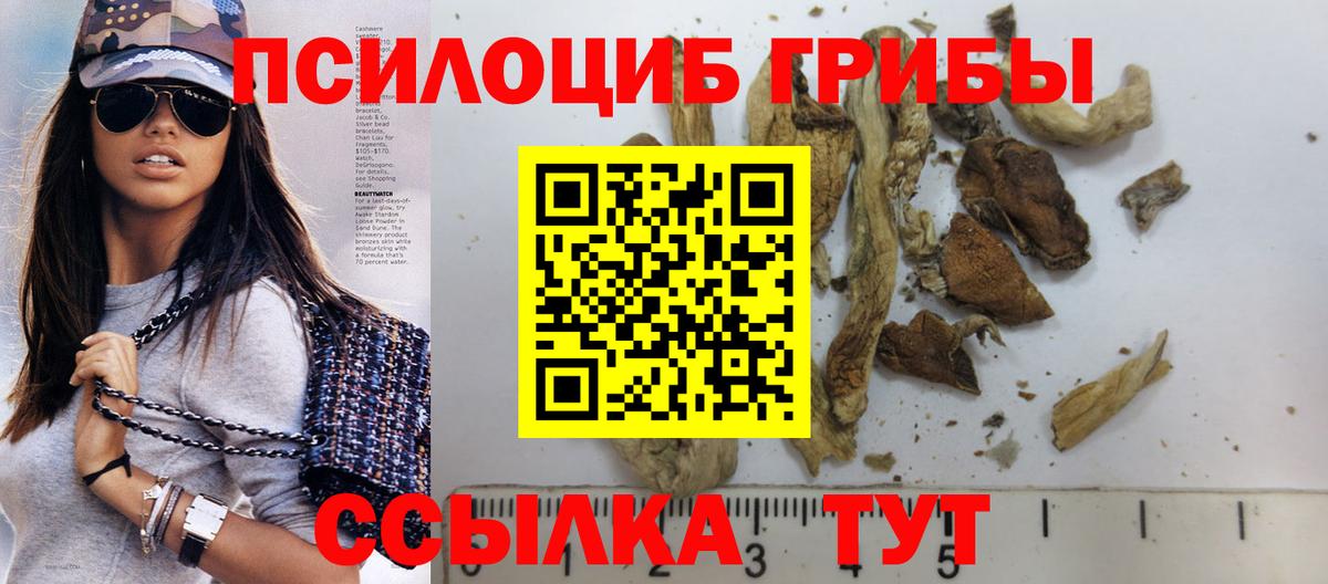 Каменск-Шахтинский  Псилоцибиновые грибы Magic Shrooms  Вход с VPN 